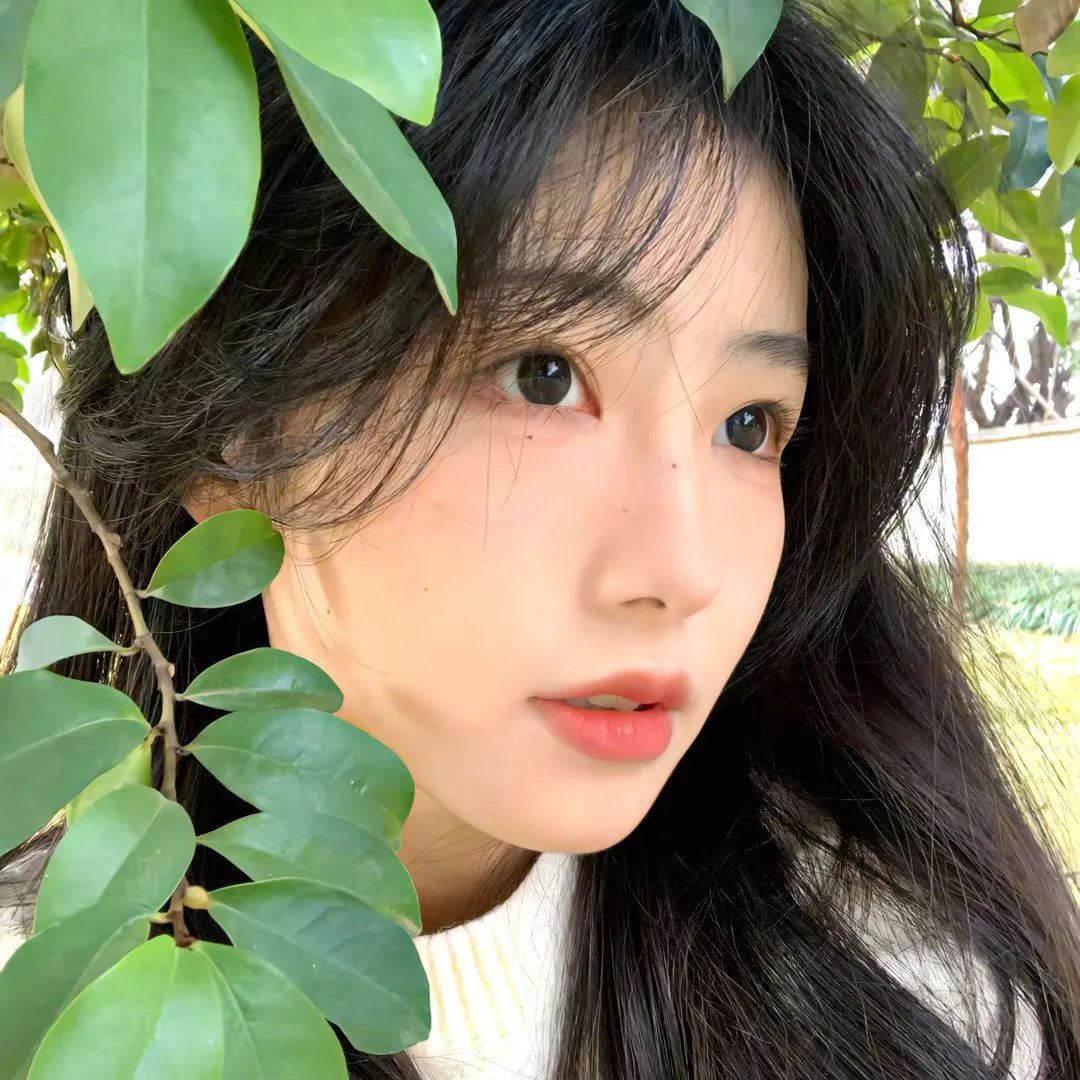 柯罗内的故事